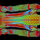 Illustration for article titled The Astounding And Horrific World As Seen Under A Microscope